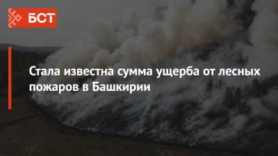 Стала известна сумма ущерба от лесных пожаров в Башкирии