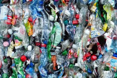 Минсельхоз отложил реформу утилизации отходов до 2025 года