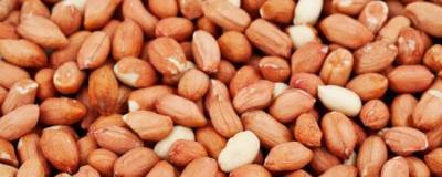 Сатойо Икехара: Употребление арахиса напрямую связано с уменьшением частоты инсультов