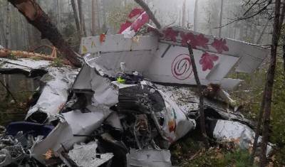 Выживший в катастрофе L-410 пилот назвал причину крушения