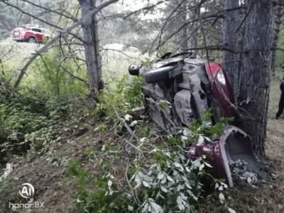 В Башкирии иномарка сбила лошадь: погиб молодой водитель и пострадали двое пассажиров