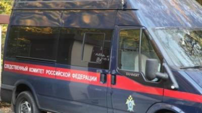 СК начал расследование по факту обнаружения трупа младенца на свалке в Краснодарском крае