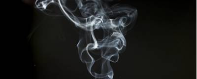 Содержащиеся в сигаретном дыме вещества могут блокировать проникновение ковида в организм
