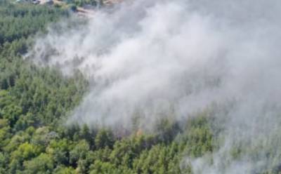 На Харьковщине загорелся лес возле домов, кадры с места ЧП: слетелись спасатели