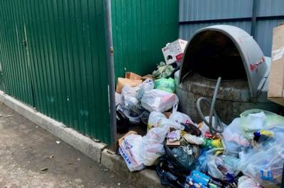 В Хабаровских дворах появились стихийные свалки мусора