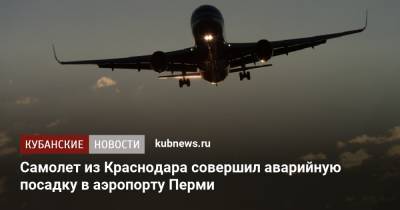 Самолет из Краснодара совершил аварийную посадку в аэропорту Перми