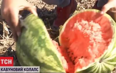 Фермеры в Херсонской области уничтожают арбузы