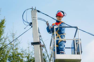 Тверские энергетики «Россети Центр» получили благодарность за улучшение электроснабжения деревни Долматово