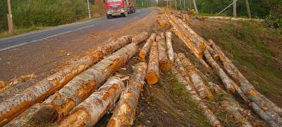 Лесовоз потерял бревна на дороге в Карелии (ФОТО)