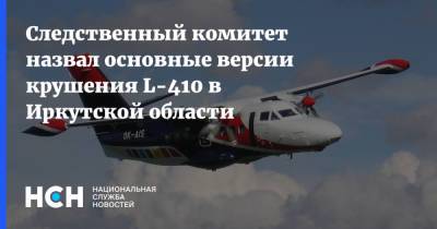 Следственный комитет назвал основные версии крушения L-410 в Иркутской области