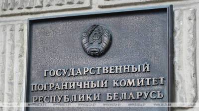 На белорусско-польской границе погиб лось: он стал жертвой заграждений