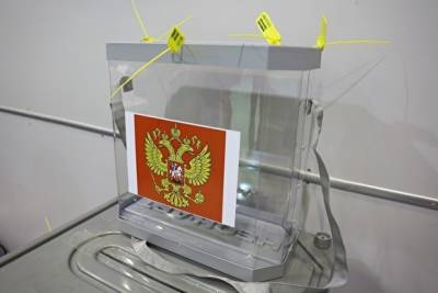 СПбГУ не будет проверять сообщения о попытках фальсификации выборов студентами