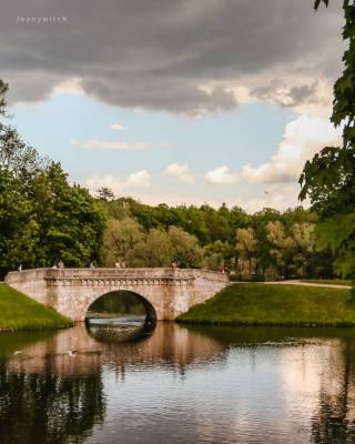 Фотограф из Петербурга показала красоту осеннего Гатчинского парка – фото