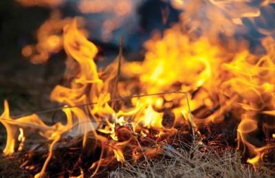 Высокая пожароопасность лесов ожидается в Нижегородской области 14-17 сентября