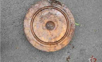 Тюменец нашел на своем участке противотанковую мину