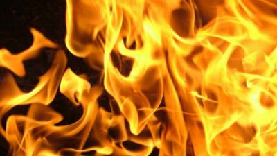 «Горячее» воскресенье: на пожарах в Одессе и области обгорели трое мужчин