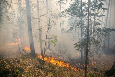 В Свердловской области потушили все природные пожары