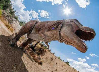 Палеонтологи: Тираннозавры кусали друг друга за голову в борьбе за земли и самок
