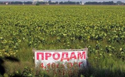«ЗЕмельная реформа»: Всемирный банк заманивает украинских мелких фермеров в капкан