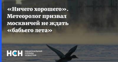«Ничего хорошего». Метеоролог призвал москвичей не ждать «бабьего лета»