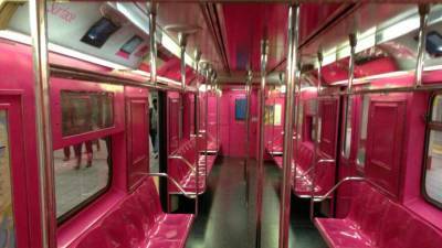 «Розовый и голубой»: на Украине хотят сделать женские и мужские вагоны
