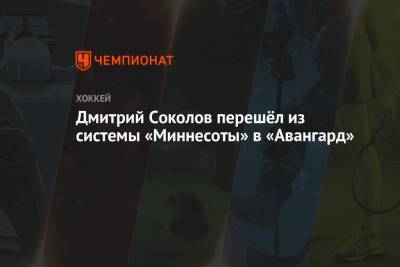 Дмитрий Соколов перешёл из системы «Миннесоты» в «Авангард»