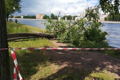 Штормовой ветер не пустил петербуржцев в парки и сады
