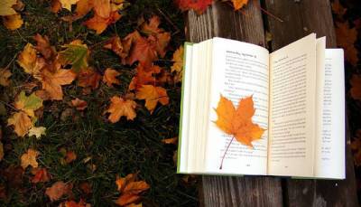 Что почитать осенью? «Зеленый свет» от Макконахи, «История рождения человечества» и «Чиполлино» без цензуры