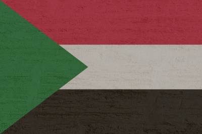 Судан опроверг сообщения об условиях для размещения российских баз