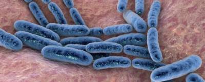 Ученые EMBL: кишечные бактерии способны накапливать лекарства