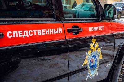 Сотрудники полиции задержали мужчину, проводившего дезинсекцию в московском "Магните"