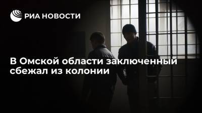 УФСИН: сбежавшего из колонии-поселения заключенного ищут в Омской области