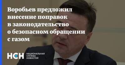Воробьев предложил внесение поправок в законодательство о безопасном обращении с газом
