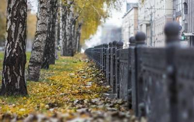 К 20 сентября средняя температура в Новосибирске опустится до плюс восьми градусов
