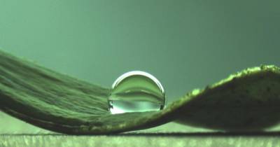 Остается сухим под водой: ученые создали супер-водоотталкивающий наноматериал