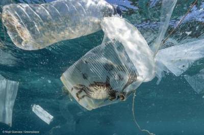 Океанический пластик под воздействием солнца превращается в смесь новых токсичных веществ