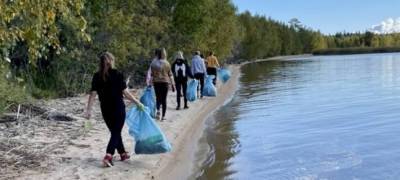 В Карелии активисты собрали на берегах Онежского озера две тонны мусора