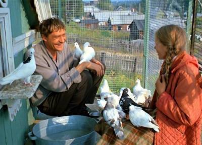 Россияне назвали «Любовь и голуби» в числе самых любимых советских фильмов