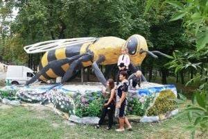 В Украине памятник пчеле стал рекордсменом. ФОТО