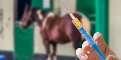 «Вы же не лошадь!» Антипрививочники «лечатся» препаратами для животных