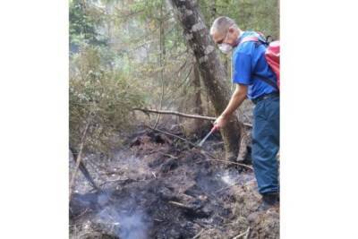 На предупреждение лесных пожаров в Марий Эл выделено 11,5 млн. рублей