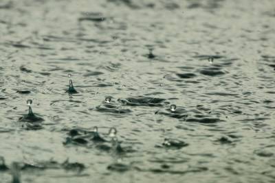 Во вторник на Кубани вновь пройдут дожди