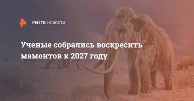 Ученые собрались воскресить мамонтов к 2027 году