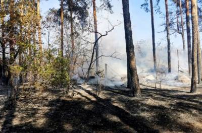 Число возгораний на территории Липецка за неделю уменьшилось на треть