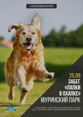 25 сентября в 16:00 «‎МК в Питере» приглашает бегунов и любителей животных на офлайн забег «Лапки в охапке»