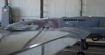 Украина может утроить количество ударных БПЛА Bayraktar в армии, - Залужный (фото)