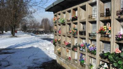 В Карелии планируют построить первый частный крематорий