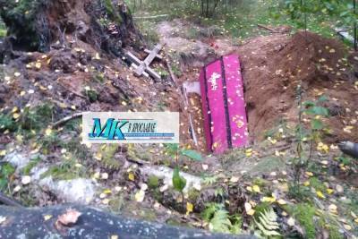 В лесу под Ярославлем нашли опустошенную могилу