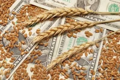 Цены на экспорт пшеницы из России достигли рекордной величины за семь лет