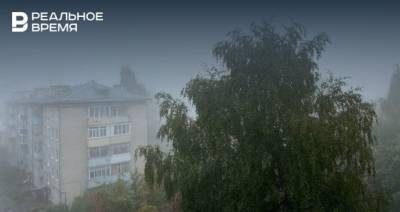 Синоптики предупредили о тумане, грозе и сильном ветре в Татарстане 14 сентября